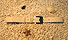 click here - product image